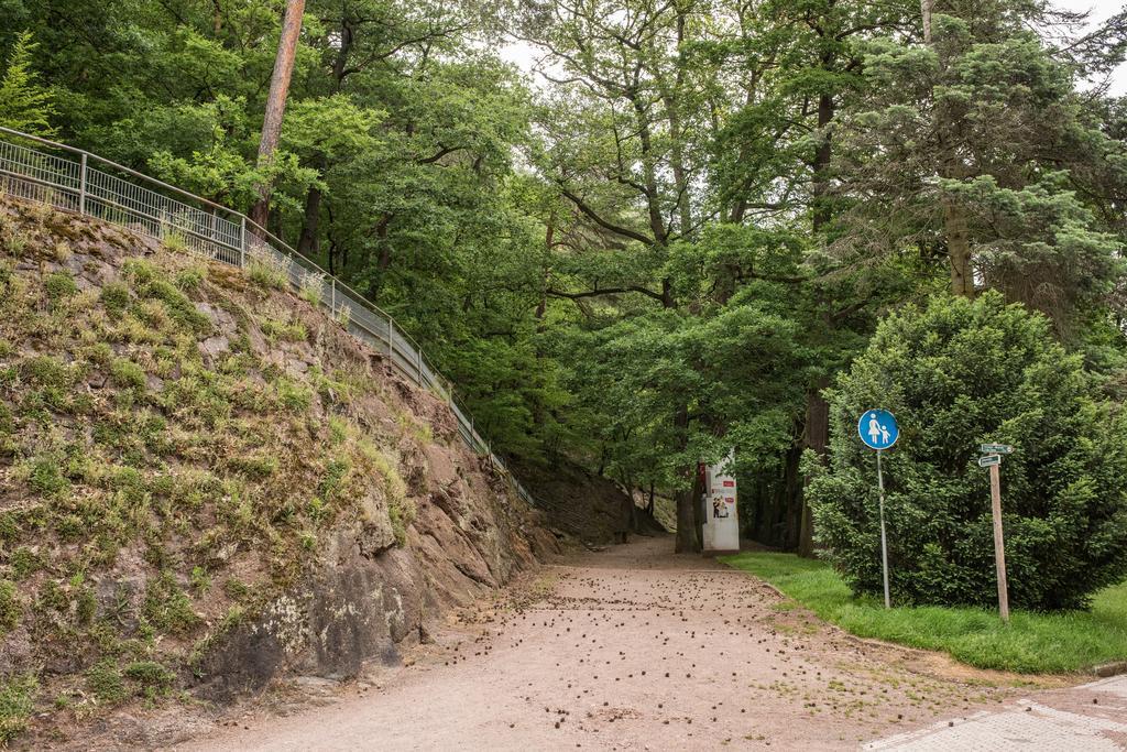 Loftwohnung Mit Sauna - Natur Und Kultur In Eisenach Erleben Und Geniessen Esterno foto